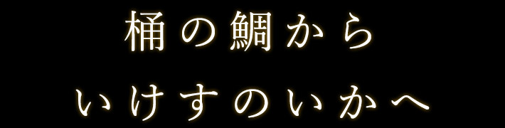 いけすのいかへ